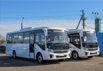 Отгрузка междугородных автобусов ПАЗ Vector NEXT