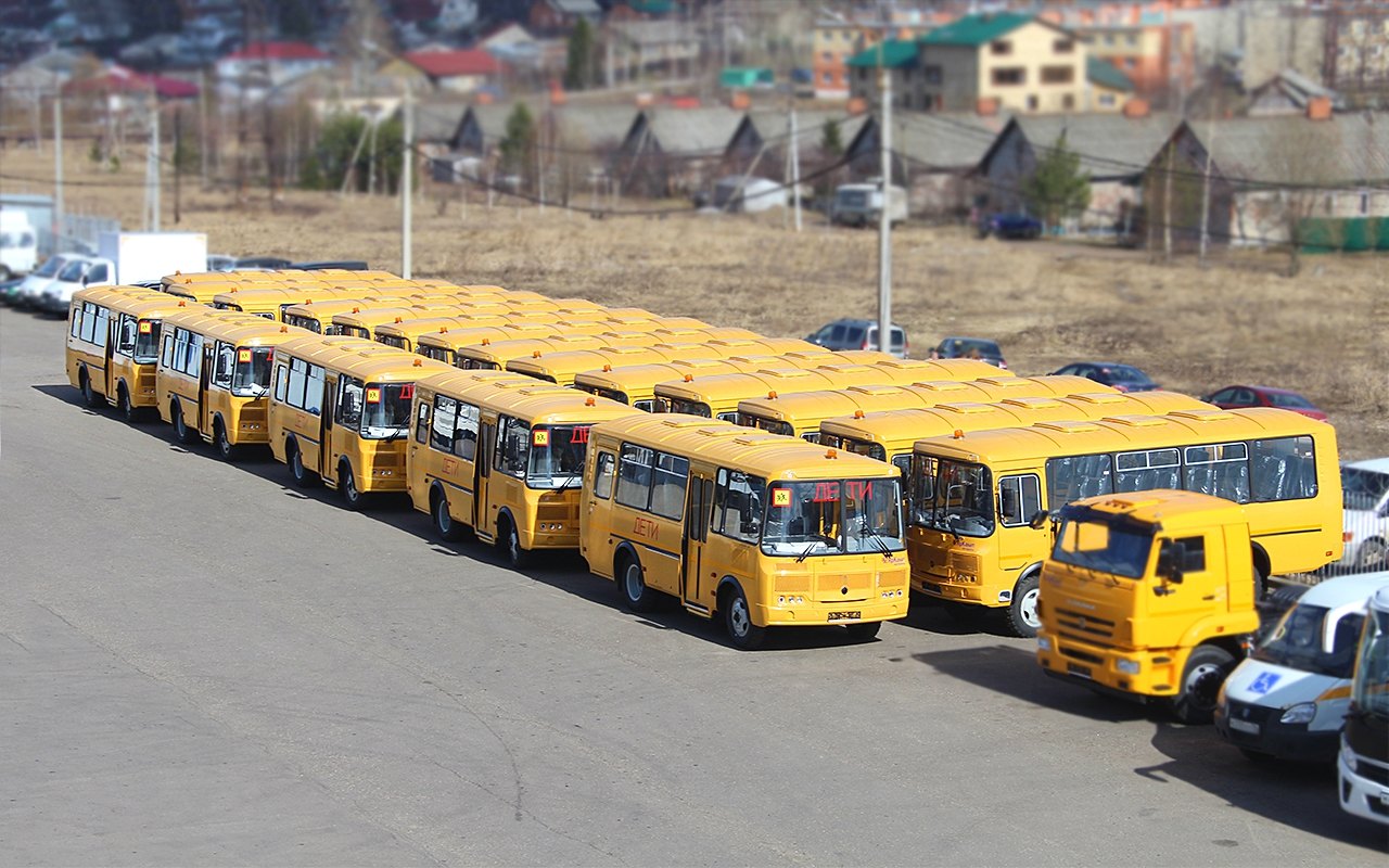 Школьные автобусы марки ПАЗ