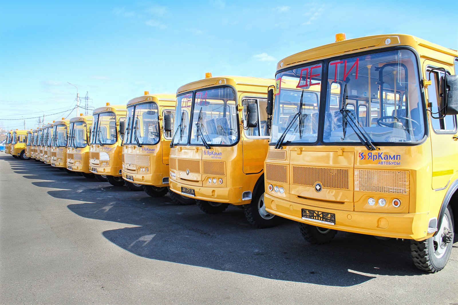 19 школьных автобусов марки ПАЗ